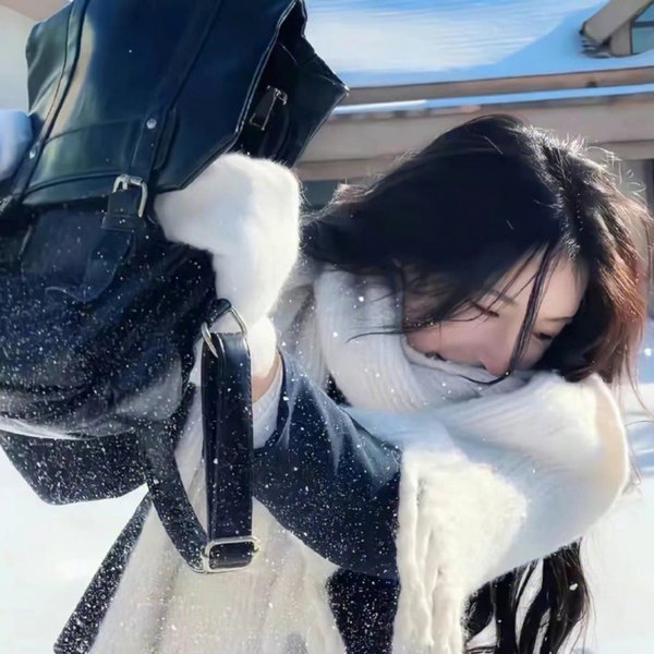 偷龙转猫