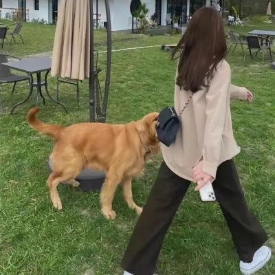 一米阳光